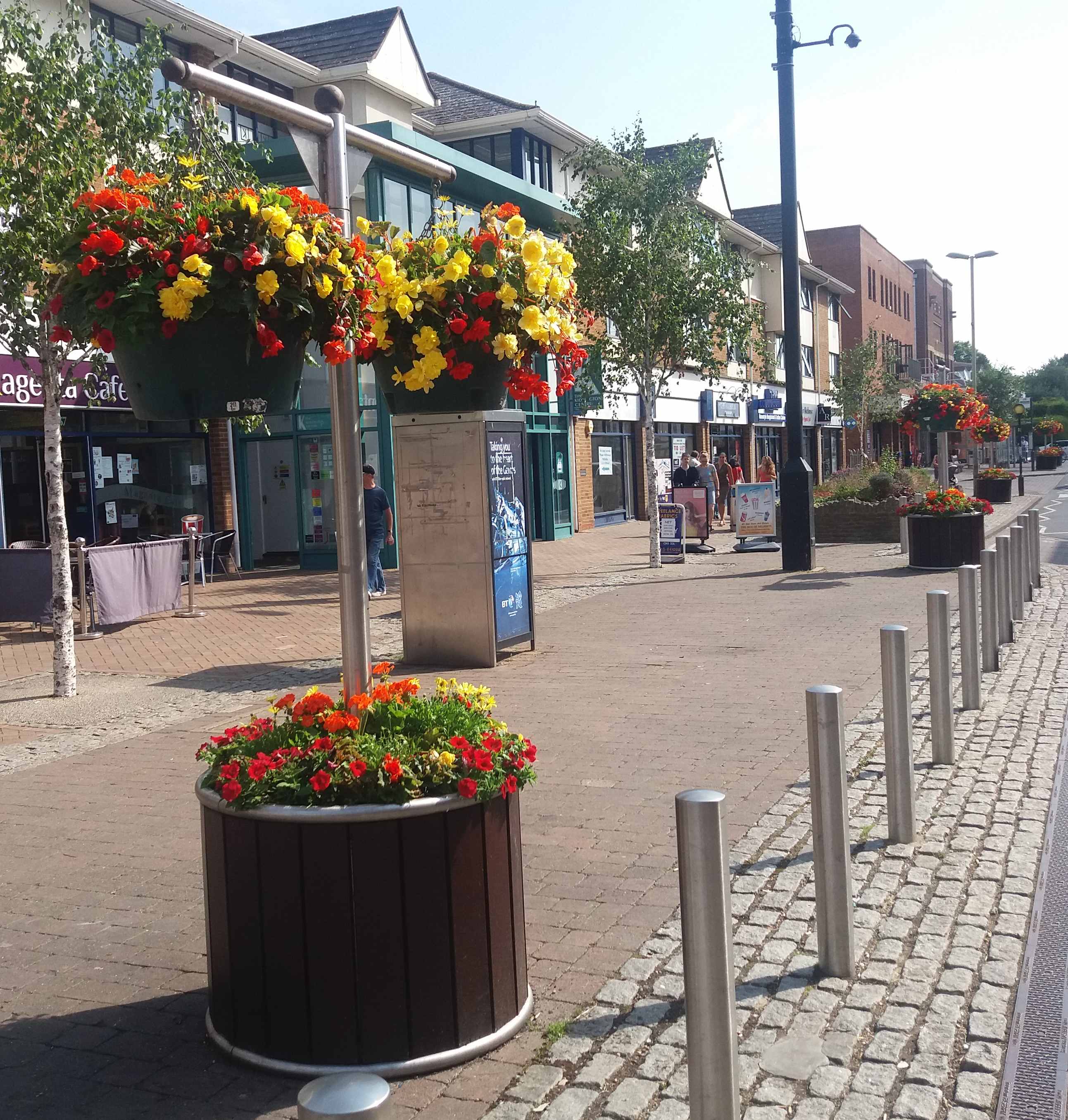 highstreet with yellow and red flowers 2